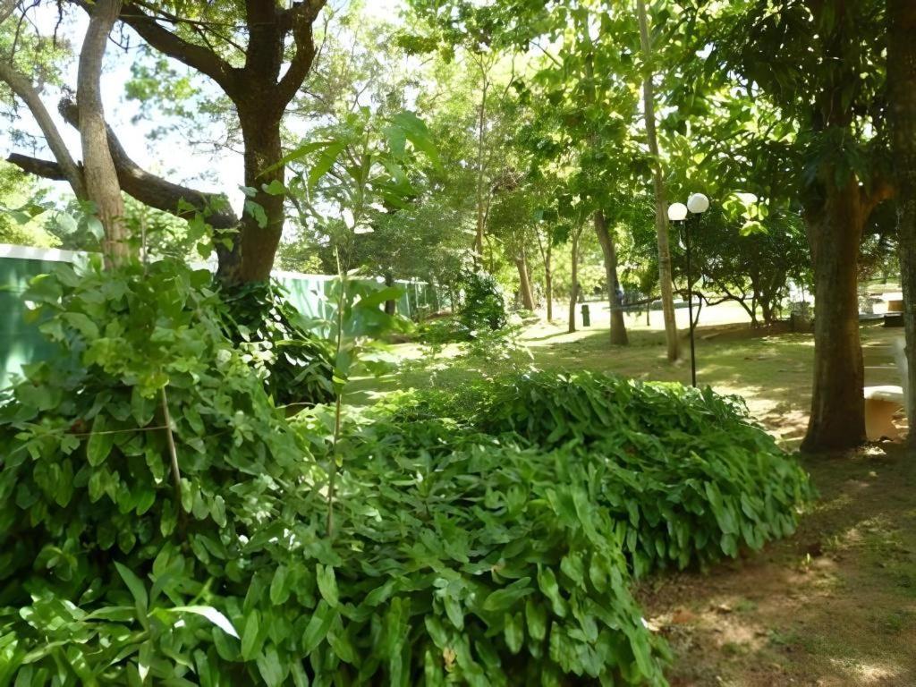 Saji-Sami Hotel Anuradhapura Exteriör bild